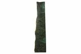 Tall, Polished Jade (Nephrite) Section - British Columbia #200452-2